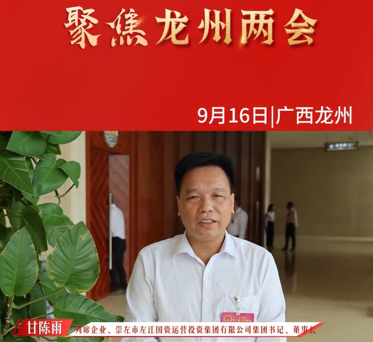 集团党委书记、董事长甘陈雨受邀参加龙州县两会畅谈发展新愿景